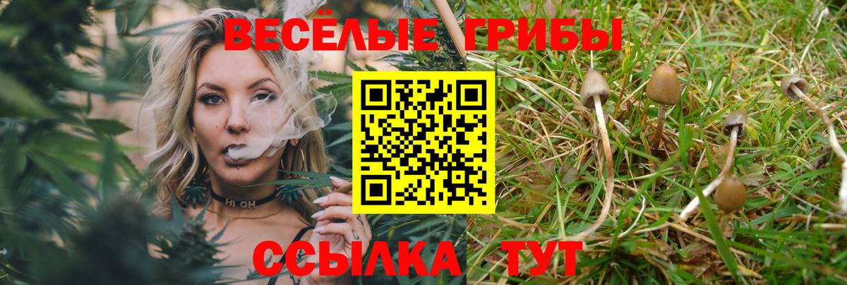 Псилоцибиновые грибы мухоморы Кинешма