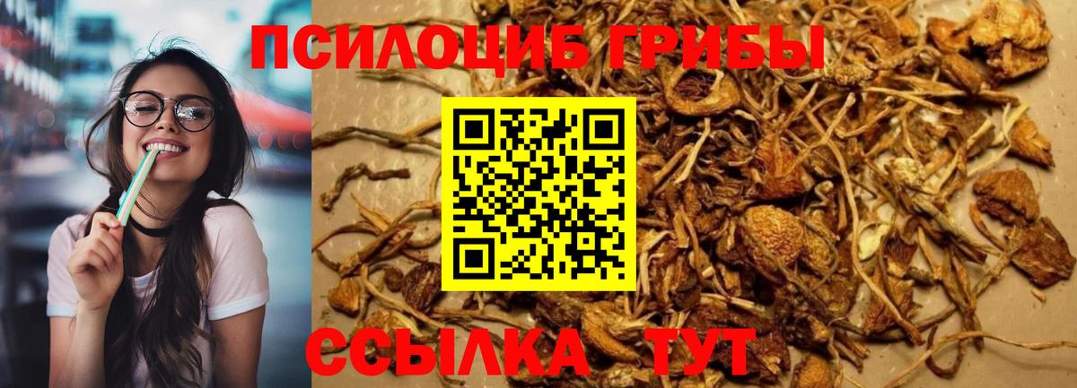 Галлюциногенные грибы Cubensis  Вход с VPN  Кинешма 