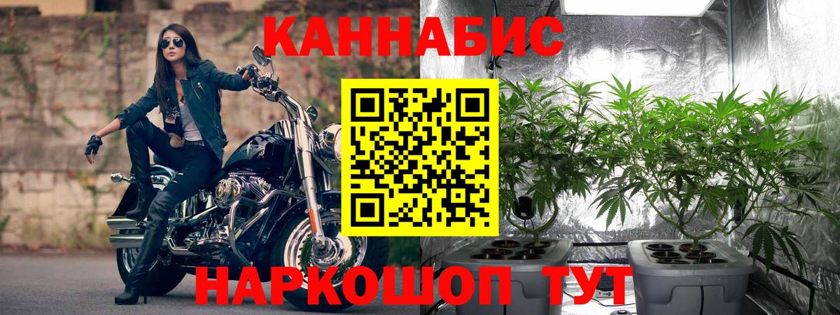 Каннабис планчик Кинешма